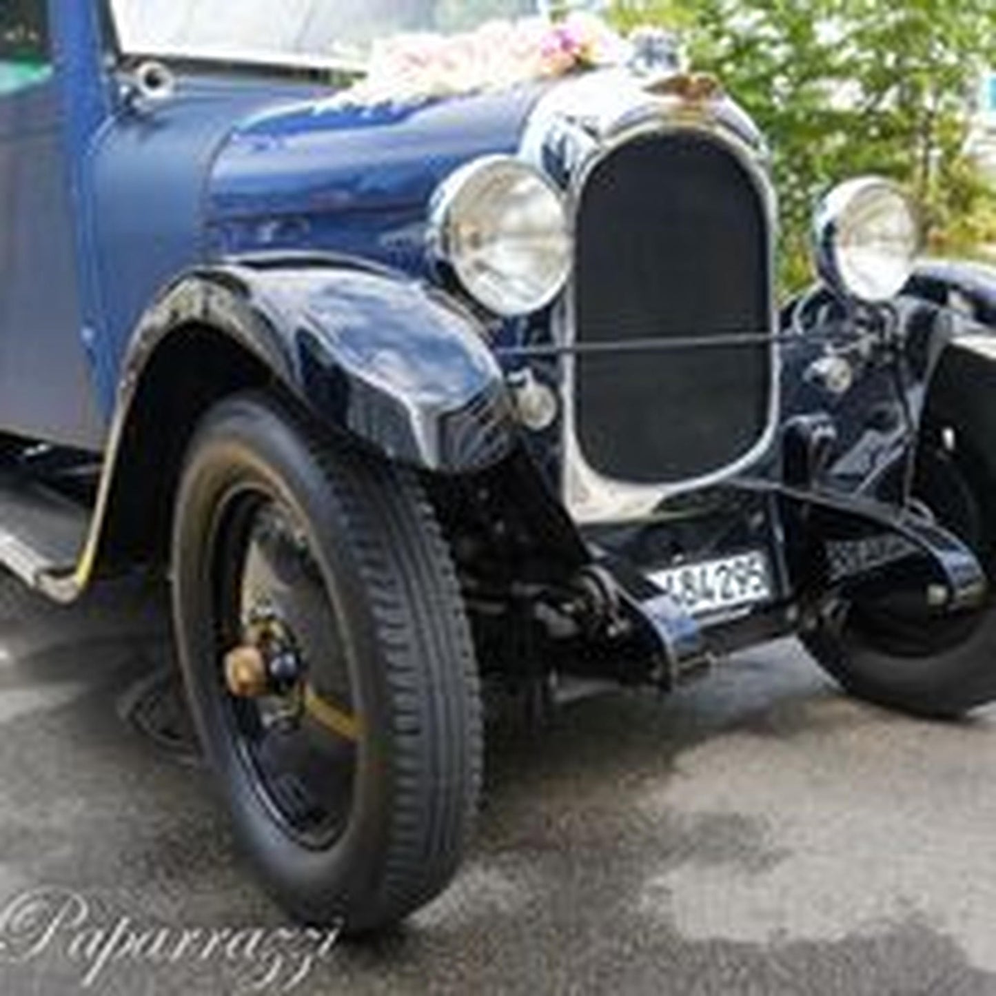 Mr. Paparazzi Stefan Melzer