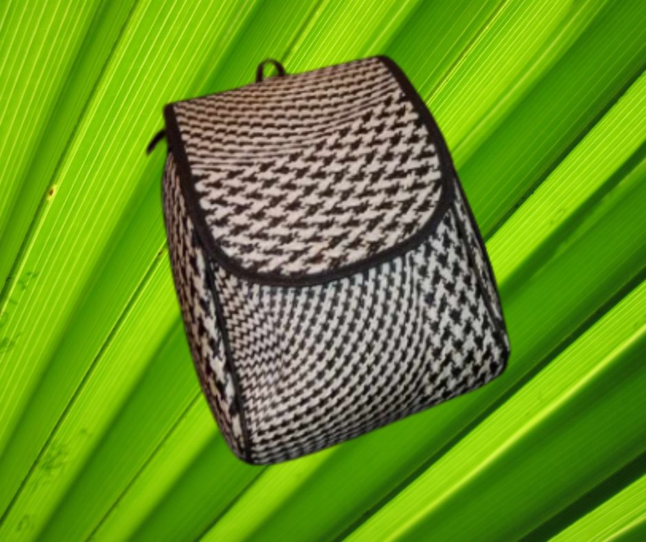 Backpack Buri