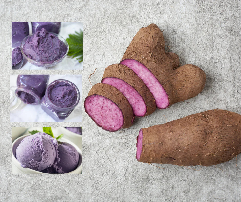 ube purple yam greater yam · yamswurzel – kabayancorner.ch