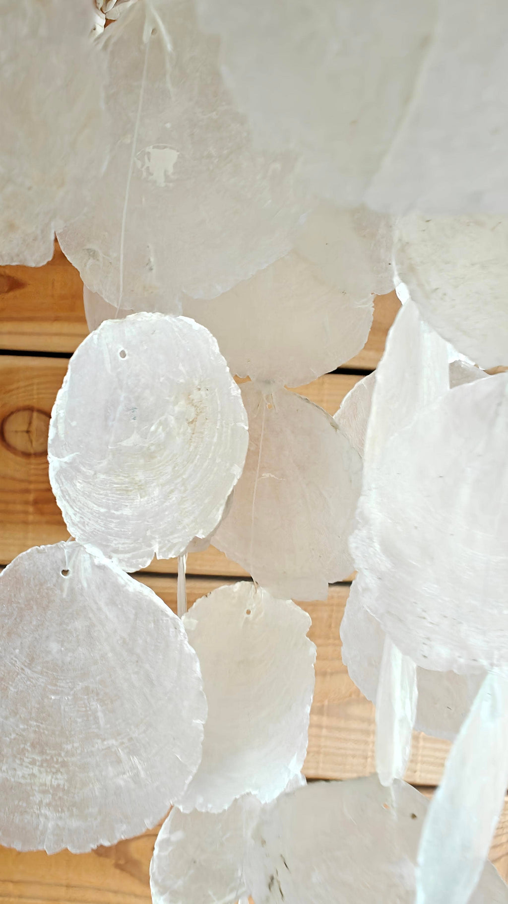 Capiz and Shell Lantern