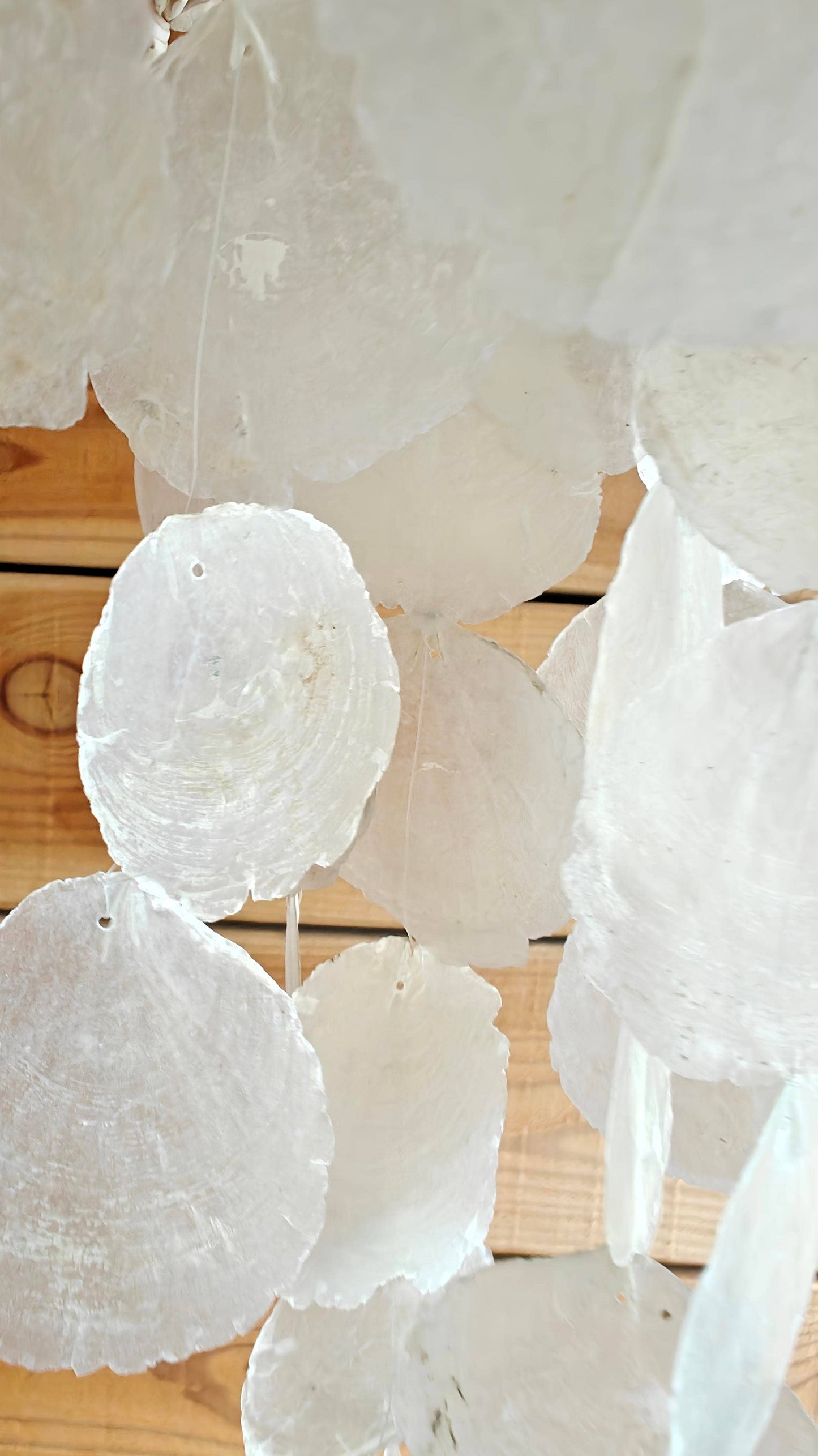 Capiz and Shell Lantern