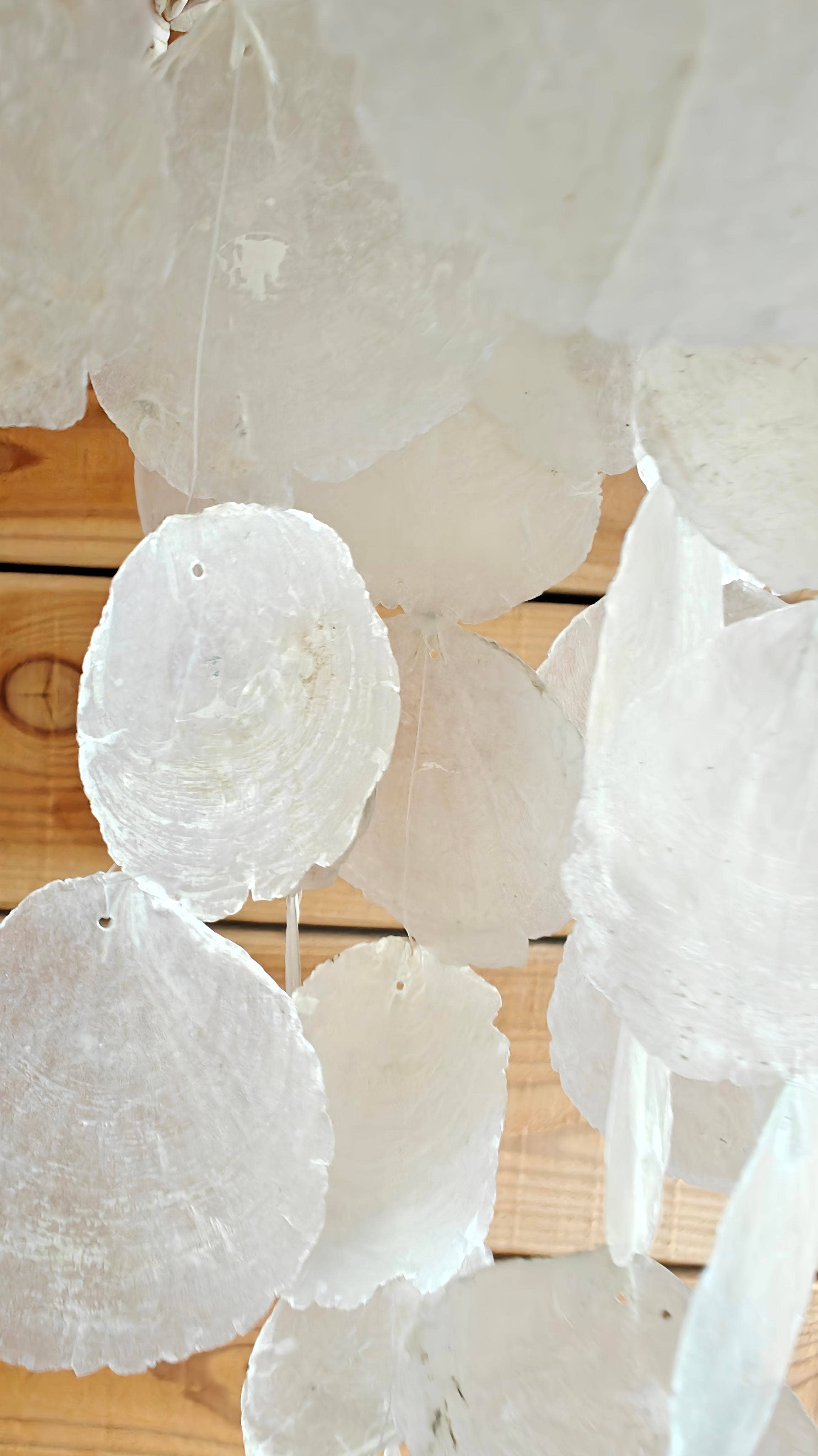 Capiz and Shell Lantern
