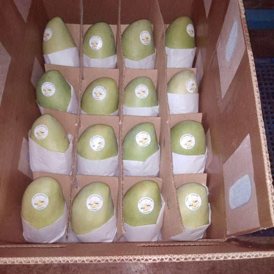 Preorder fresh Mango by PhilMango 1kg