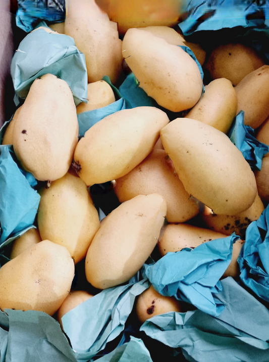 Event Philippine Mangoes